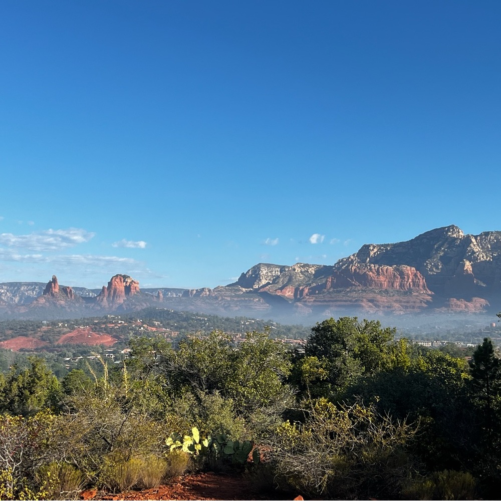 Meet your Posher, Alison